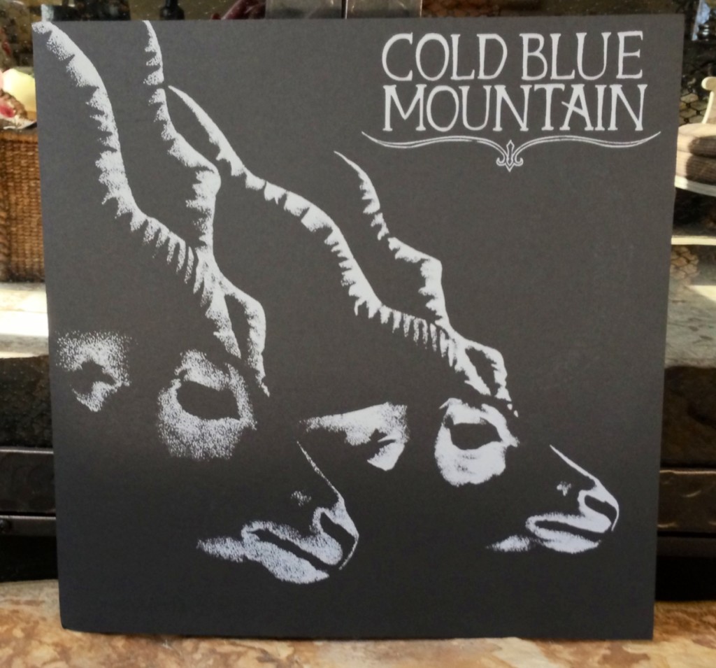 cold blue mountain vinyl jacket