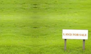 land-for-sale-sign