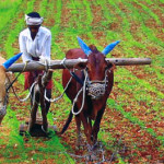 farm land acquisition