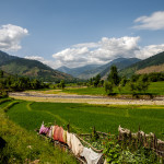 11448106923_a8f2bde135_b