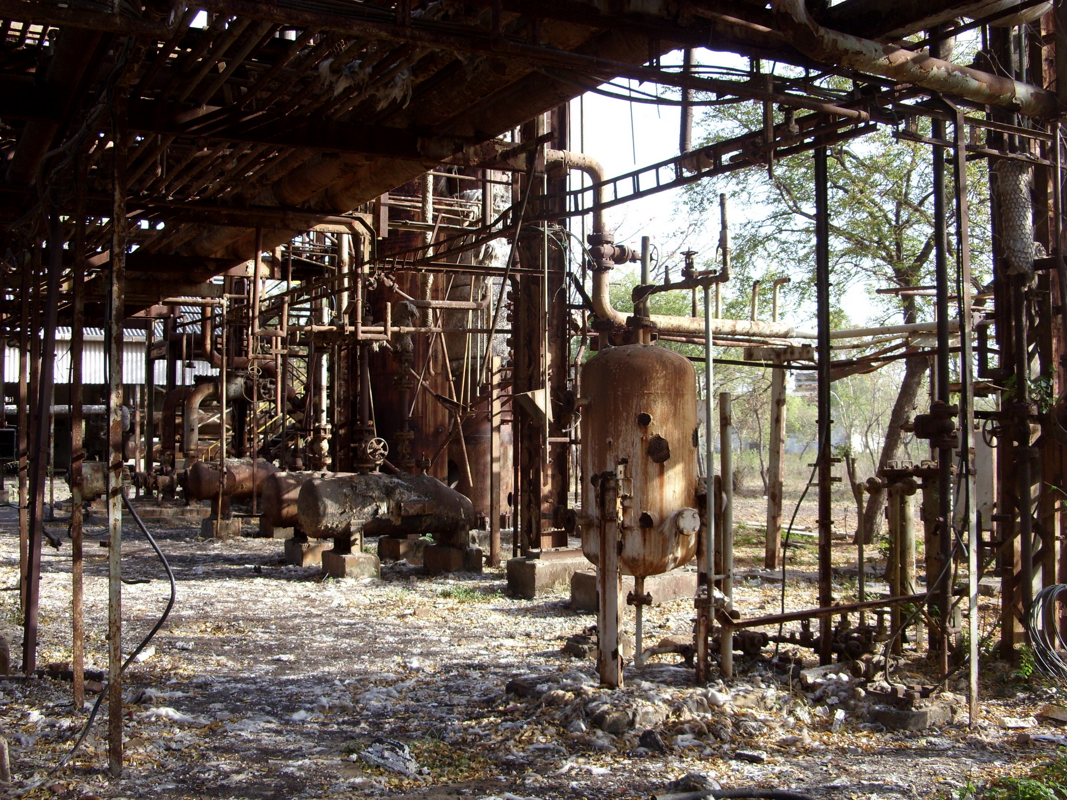 Bhopal gas tragedy case study