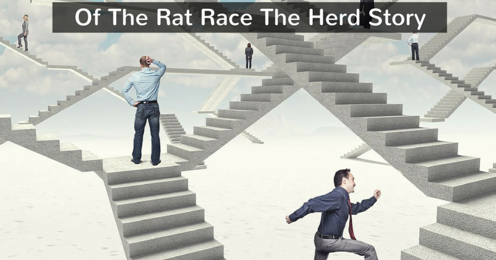 Of The Rat Race The Herd Story