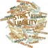 Concept Of Strict Liability And Absolute Liability - IPleaders