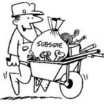 Subsidies-Indian-Scenario-and-road-ahead