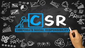 CSR And PPP In India - All You Need To Know - IPleaders