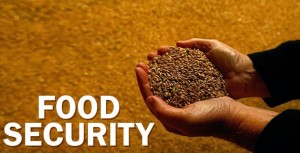 food-security-795x406