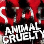 ANIMAL-CRUELTY