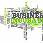 What Clauses Should You Check While Joining An Incubator?