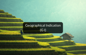What is Geographical Indication or GI