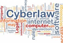 Prepaid Payment Instruments (PPIs) and its Regulations cyber litigation