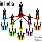 MLM in India