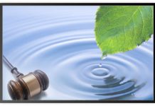 Ten Most Important Environmental Law Judgments in India environement