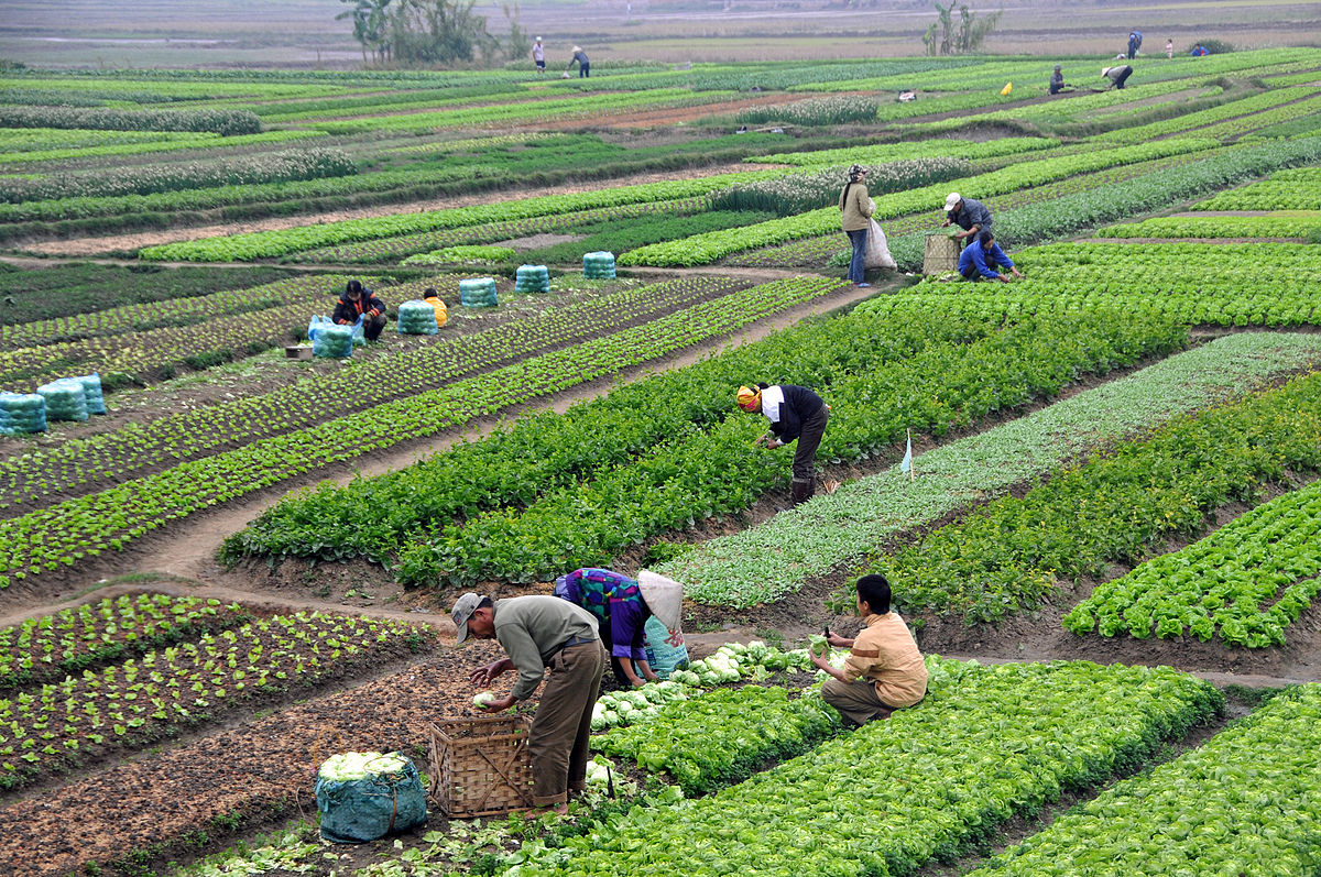 What Is Agriculture Income Its Types And Its Taxability IPleaders