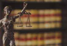 Royalty Payment Outflows From India green bond