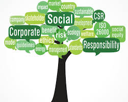 components of CSR reporting
