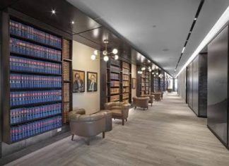 3 niche and upcoming fields of law that you can make a career in