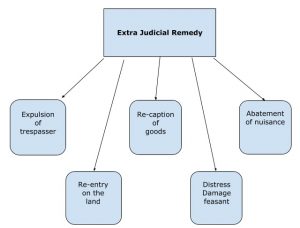 Law of Torts - Common Law of Torts - Development in India - iPleaders