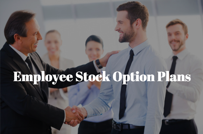 Stock Option Plans