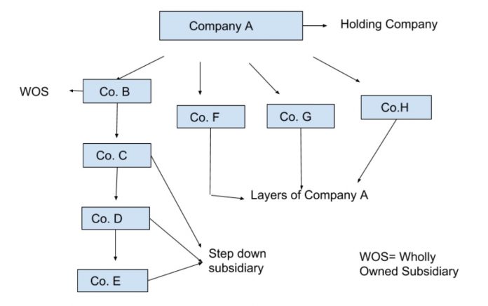 Difference Between Holding And Subsidiary Company Companies Act 1592