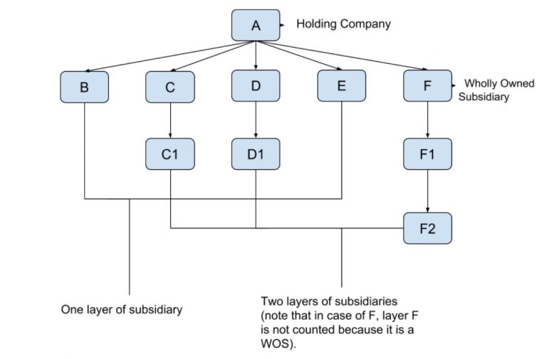 Difference between holding and subsidiary company Companies Act