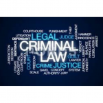 Why people struggle to succeed in criminal law and how you can do well