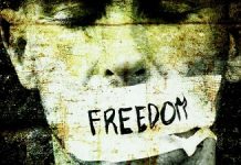 Freedom of speech and sedition : the Amulya Leona case