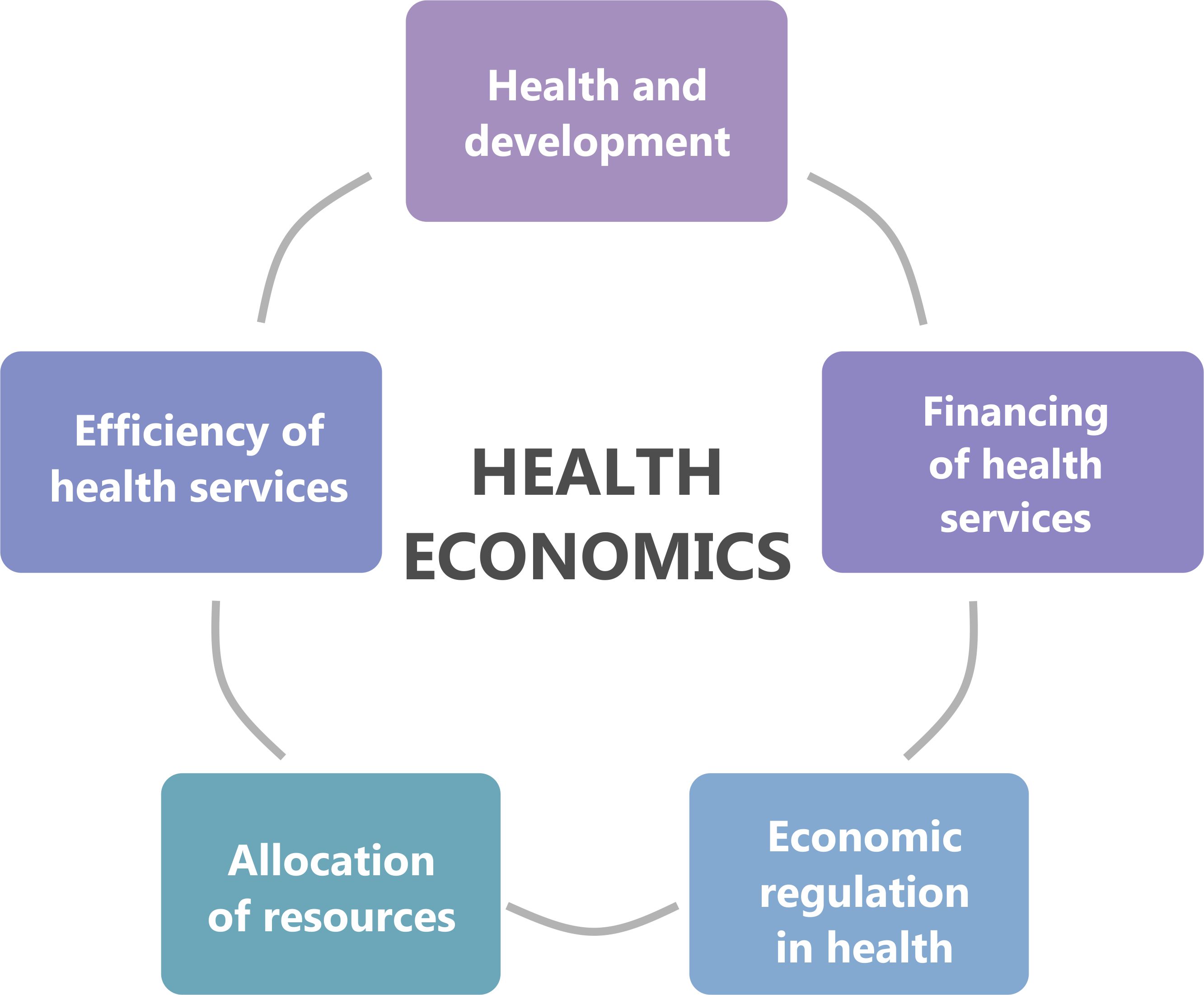 healthcare economics research topics