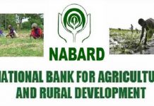 All you need to know about NABARD nabard functions