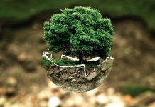 Right to Clean Environment – M.C Mehta v. Union of India M.C Mehta v. Union of India