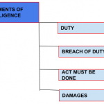 Screen Shot 2020-01-19 at 5.24.17 PM