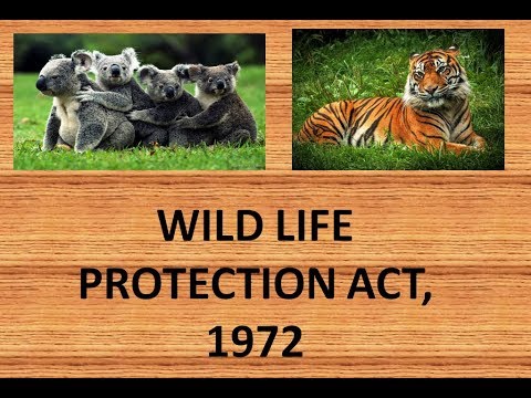 The Wild Life (Protection) Act, 1972: An overview - iPleaders