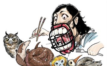 Prevention and Detection of offences under the Wildlife Protection Act