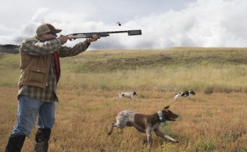 Forfeiture of Property from Illegal Hunting and Trade