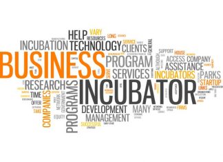 All you need to know about Incubators and Accelerators