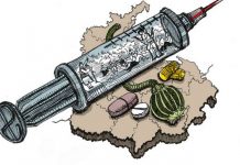 Punjab: The Mexico of India