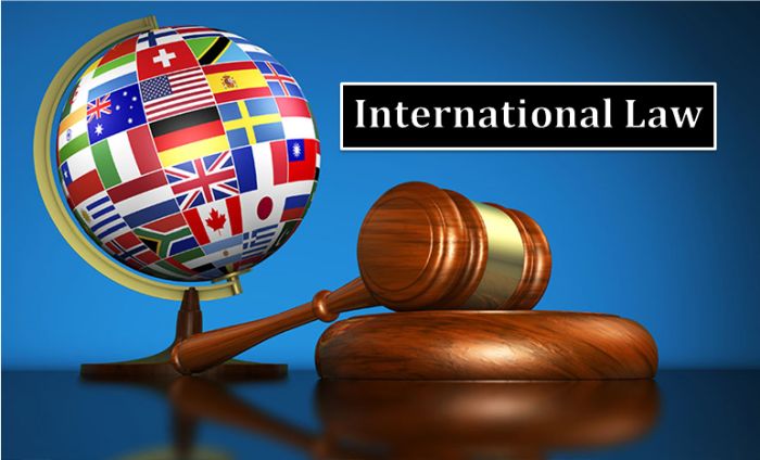 Understanding International Law: A Unique Perspective