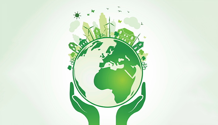 Environmental Impact Assessment: Everything important you should know