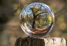 Draft EIA Notification 2020 and its impact on the environment and society