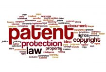 What rights are guaranteed to a patent holder