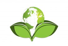 Environmental Impact Assessment Notification 2020