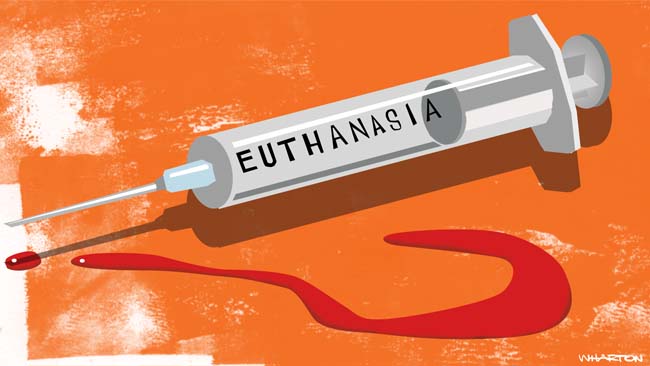 types of euthanasia