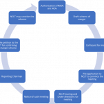 Final draft Seerat_Kaur_69176Checklist for NCLT Approval of Mergers (2)