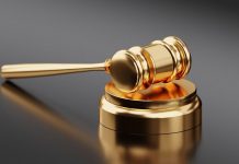 Anatomy of the judiciary : the Supreme Court and the High Courts Anatomy of the judiciary