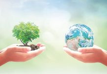 The role of ESG (environmental, social, and governance) factors in governance: an overview Environmental