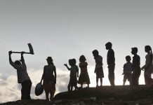 Ficus Pax Private Ltd. & Ors. v. Union of India & Ors. : the manoeuver of minimum wages in the pandemic regime