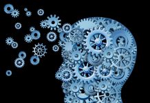 Everything you need to know about IP backed financing IP backed financing