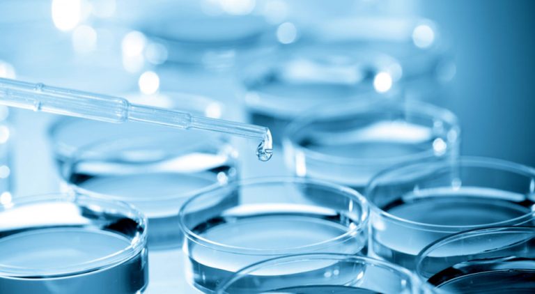 How to obtain a patent for inventions and pharmaceutical products