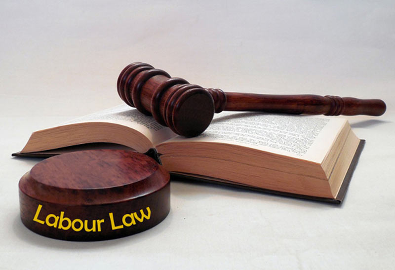 20 Most Important Labour Law Judgements Every HR Manager Should Learn 