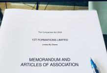 How to extract the article of association of a company