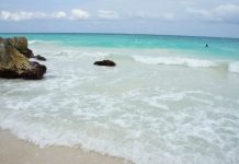 Maritime report link between crime, coastal development and violence